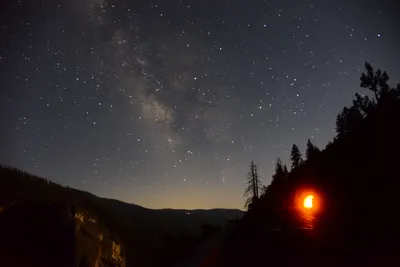 DSC_2237 (Large).JPG